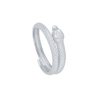 Bague serpent argentée enroulée deux fois, écailles en relief, tête fine
