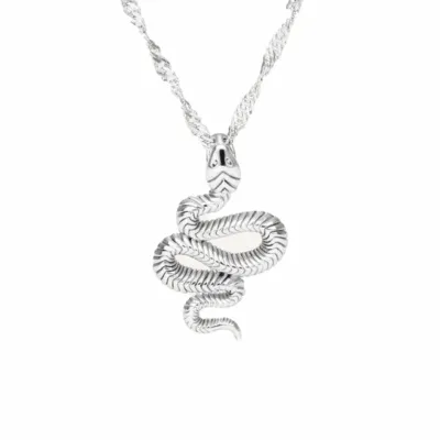 Collier argenté avec pendentif serpent enroulé et chaîne torsadée