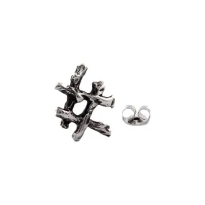 Boucles d'Oreilles Rune Ingwaz