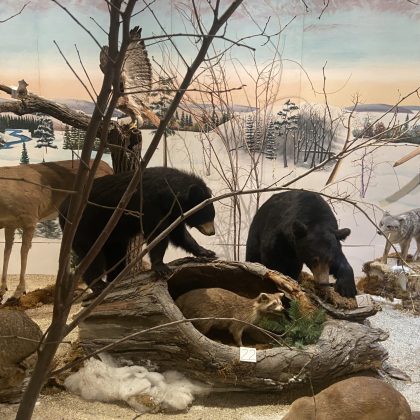 Pierres runiques vikings au musée